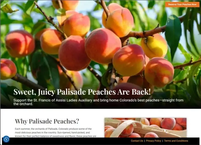 PalisadePeaches-e1752900080170.jpg