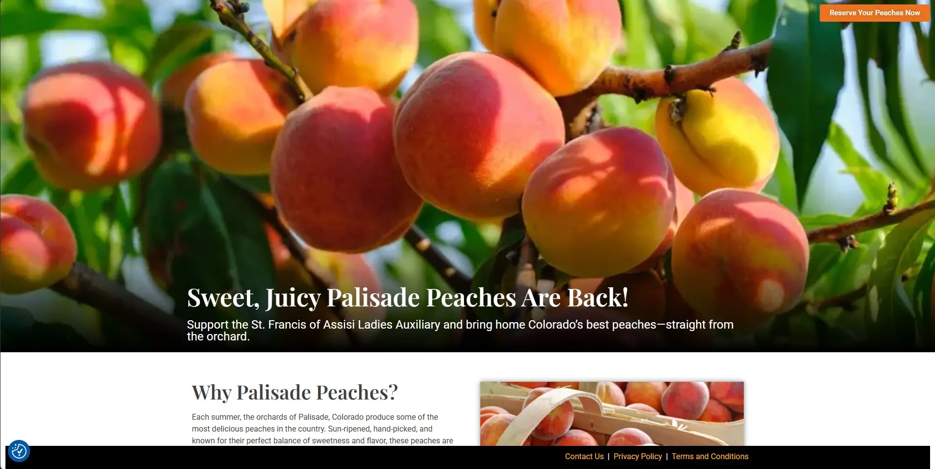 Palisade Peach Fundraiser